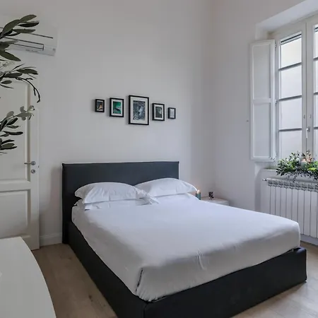 Sophie's Flat