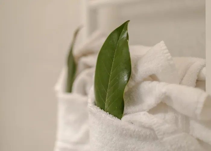 Sophie's Flat Apartment