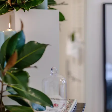 Apartment Sophie's Flat