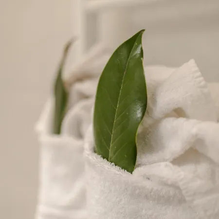 Sophie's Flat Διαμέρισμα