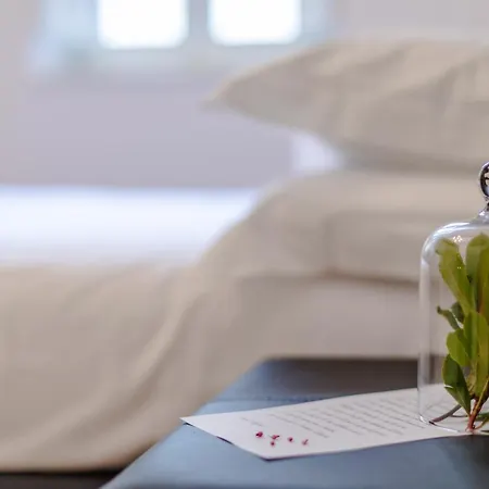 Sophie's Flat Florence