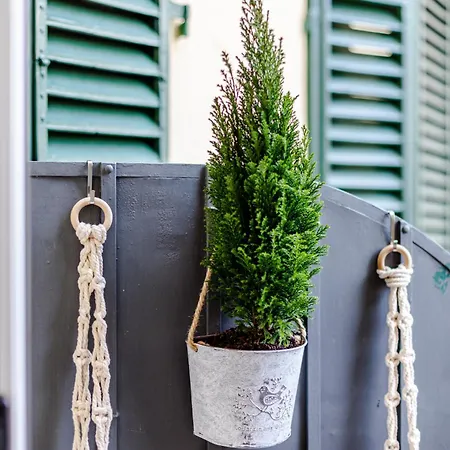 Apartment Sophie's Flat Florence